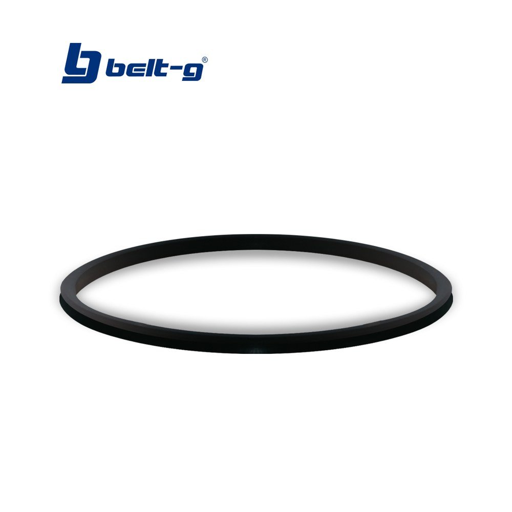 EMPACADURA ORIGINAL PARA FILTRO Mod. 10" Belt-G