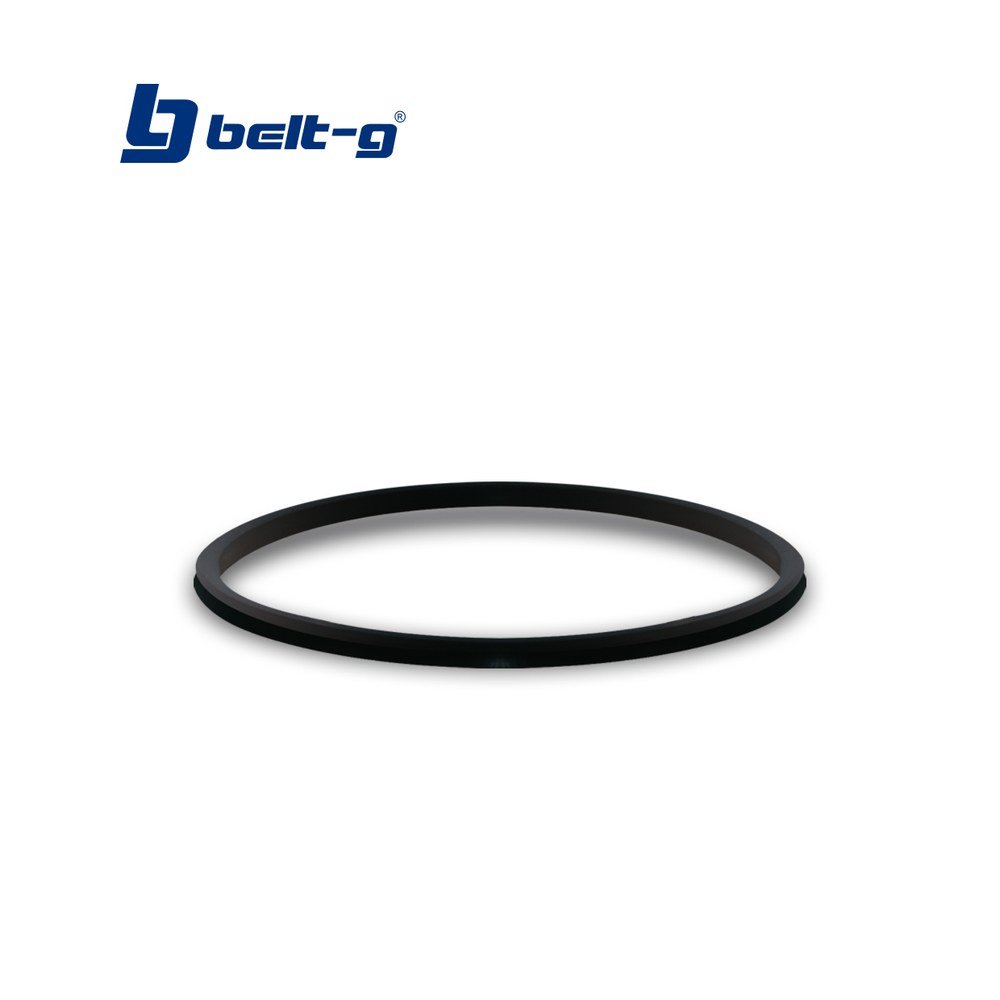 Belt-G Empacadura Original para Filtro Mod. B-2