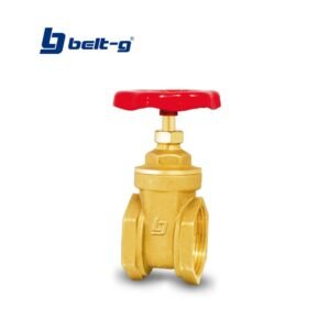 VALVULA DE COMPUERTA STD 1.1/4" Belt-G