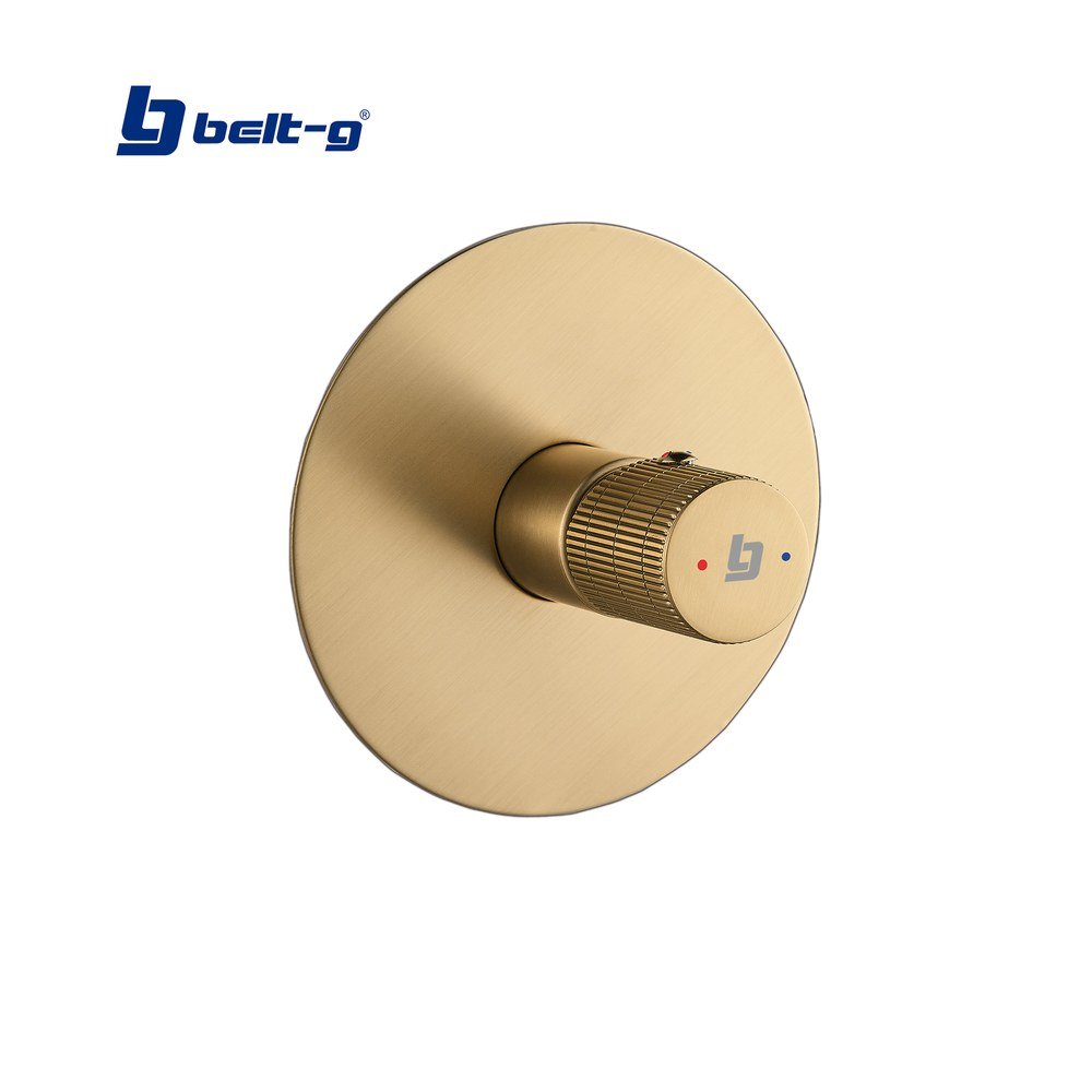 GRIFO DUCHA MONOMANDO SLOTT GOLDEN BRUSH Belt-G